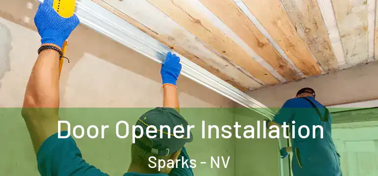  Door Opener Installation Sparks - NV