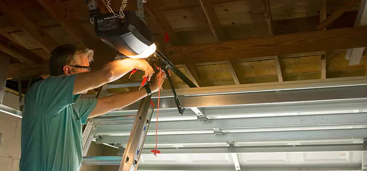 Garage Door Opener Sales and Installation Sparks