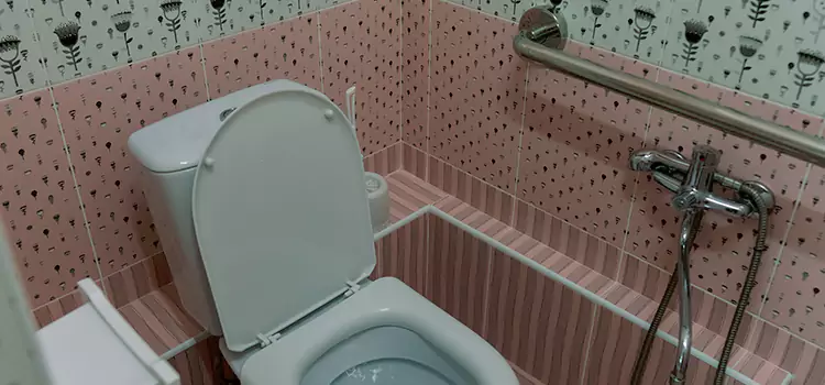 Meeting Diverse Needs With Accessible Restroom Solutions in Sparks, NV